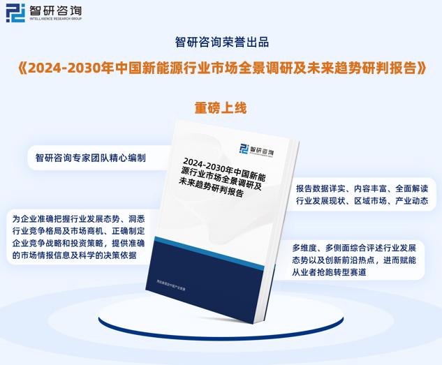 新澳特精准资料,新澳特精准资料，引领新时代的行业先锋