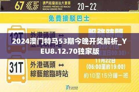 2024澳门特马今晚开什么,探索澳门特马，未来之夜的神秘面纱