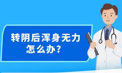 新澳精准资料免费提供网站有哪些,关于新澳精准资料免费提供网站及其相关问题探讨（不少于1901个字）