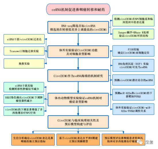 新澳最准的资料免费公开,新澳最准的资料免费公开，探索预测与成功的交汇点