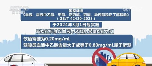 2025年正版资料免费大全功能介绍,迈向未来，探索2025年正版资料免费大全的无限功能