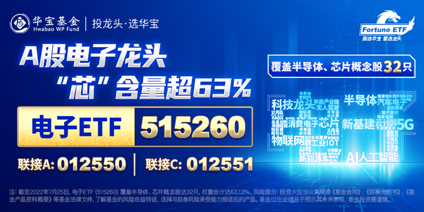 新澳2025正版资料免费公开新澳金牌解密,新澳2025正版资料免费公开，新澳金牌解密