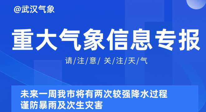 2025新奥精准正版资料,探索未来，解析2025新奥精准正版资料的重要性与价值